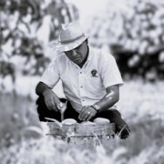 Aníbal Griceldo Quispe Limaylla